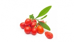 Goji berries