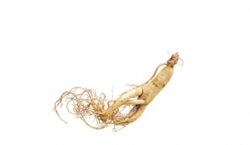 Ginseng extract