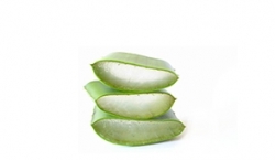 Aloe extract