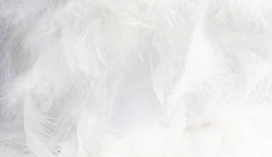 Allantoin