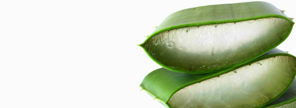 aloe vera prostata Reiner Bio Aloe Vera Saft main image 1