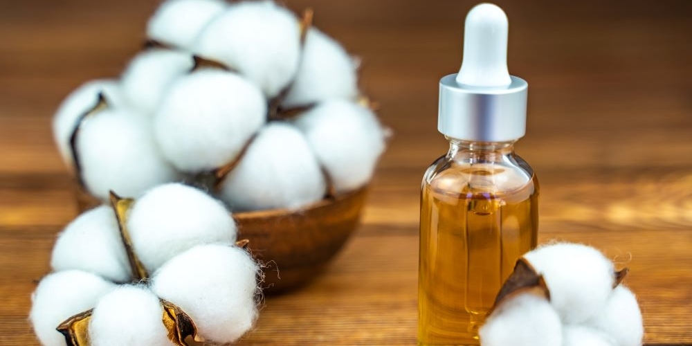Olej z nasion bawełny – dlaczego warto go stosować?